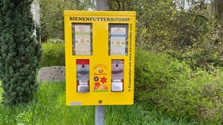 Blumensamen statt Kaugummis - Der neue, gelbe Bienenfutterautomat von Langenlonsheim soll gegen das Insektensterben helfen