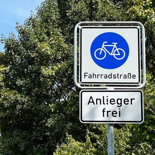 Ein Schild in Mainz weist auf eine Fahrradstraße hin