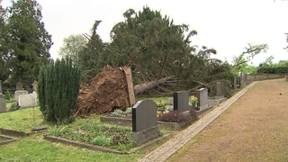 Auf dem Friedhof in Nierstein-Schwabsburg ist bei einem Unwetter ein Baum auf Grabsteine gestürzt