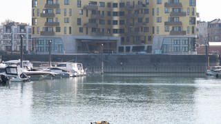 Im Rhein am Zollhafen hat ein Polizist eine Frau aus dem Rhein gerettet.