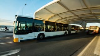 Ein Bus der Mainzer Mobilität.