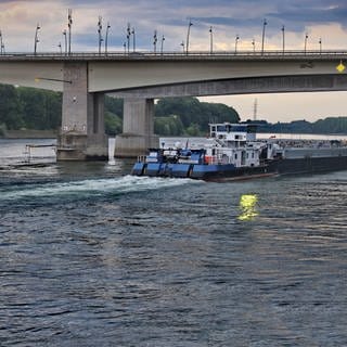 Lichtinstallationen spiegeln sich auf dem Wasser des Rheins bei Worms