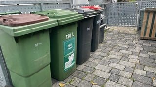 Verschiedene Mülltonnen stehen vor einem Grundstück in Mainz.
