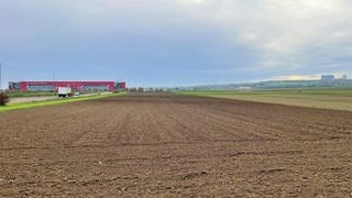Auf diesen Feldern nahe des Stadions von Mainz 05 soll das geplante Biotechnologie-Areal entstehen.