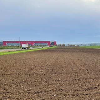 Auf diesen Feldern nahe des Stadions von Mainz 05 soll das geplante Biotechnologie-Areal entstehen.
