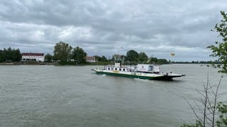 Die Rheinfähre ist schon seit vielen Jahren zwischen Nierstein und Kornsand unterwegs.