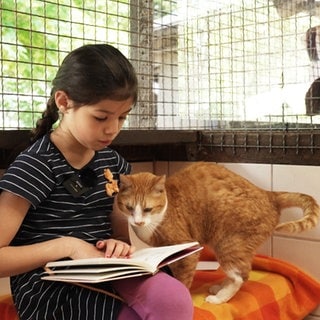 Kinder lesen im Tierheim Ingelheim Katzen vor