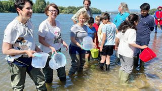 Die Landwirtschaftsministerin aus Nordrhein-Westfalen, Silke Gorißen (CDU), die hessiche Umweltministerin Silke Priska Hinz und die rheinland-pfälzische Umweltministerin Katrin Eder (beide Grüne) setzen zusammen mit Kindern maifisch-Larven im Rhein aus.