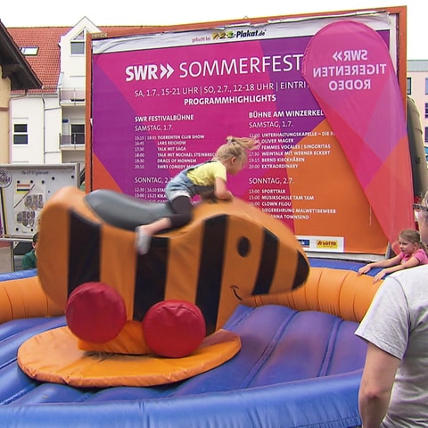 Zum SWR Sommerfestival nach Ingelheim kamen rund 30.000 Menschen. Dort konnten sie den Sender, seine Programme und Moderatoren kennenlernen. Ein Highlight: Das Konzert von Howad Carpendale am Sonntagabend. (Foto: SWR)