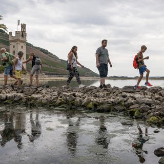 Wie gut sind die Landkreise in RheinhessenNahe auf Hitze, Dürre und den Klimawandel vorbereitet? Menschen laufen aufgrund von Niedrigwasser zu Fuß zum Binger Mäuseturm im Rhein.