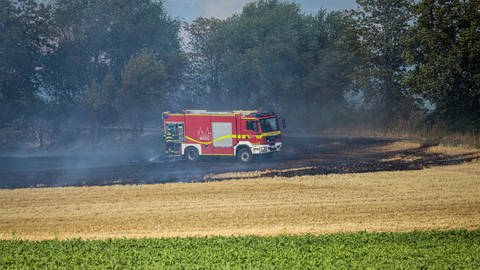 Die Feuerwehr musste am Montagabend schon wieder ausrücken: Diesmal brannte ein Feld zwischen Mainz-Hechtsheim und Mainz-Ebersheim. 