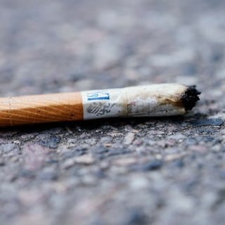 Die Stadt Mainz erhöht Verwarnungsgelder für Umweltverschmutzung wie das Wegwerfen von Zigarettenkippen.