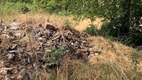 Dieses Foto vom Müll im Rhein-Selz-Park Nierstein wird Teil der staatsanwaltschaftlichen Ermittlungen.