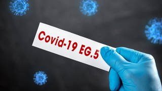 Auf der Fotomontage hält eine Hand, die in einem blauben Hygienehandschuh steckt, einen Zettel auf dem in roter Schrift die aktuelle Corona Virus Mutations-Variante steht: Covid-19 EG.5. 