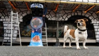 Auf dem Bad Kreuznacher Jahrmarkt sind Hunde künftig verboten.