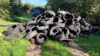 Um die hundert Autoreifen stapeln sich auf einem Waldweg. In Bingen haben Unbekannte schon mehrmals Autoreifen illegal entsorgt.