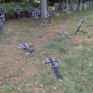 Am Wormser Hauptfriedhof wurden in der Nacht auf Samstag laut Polizei mehrere Gräber geschändet. Grabsteine wurden umgeworfen und Blumenschmuck wurde , Schuck zerstört. 