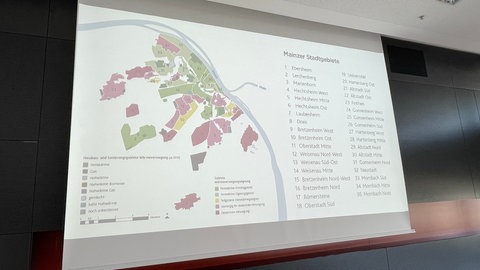 Alle 35 Regionen im Überblick. Die Farben markieren laut Stadtwerke, welche Art der Wärmeversorgung in welchem Gebiet in Mainz zukünftig am geeignesten ist.