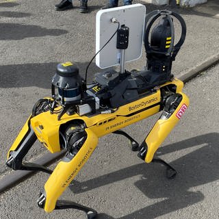 Mithilfe einer Kamera kann der Roboterhund Arbeiten übernehmen. Er wird derzeit in Bischofsheim getestet.