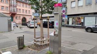 In der Liebfrauenstraße steht die letzte Telefonzelle von Mainz.