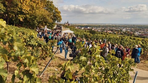 Teilnehmer der Schlemmerwanderung in den Weinbergen von Oppenheim 