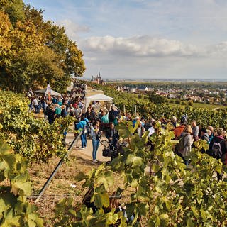 Teilnehmer der Schlemmerwanderung in den Weinbergen von Oppenheim 