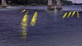 Mit Scheinwerfern wird der Rhein bei Worms beleuchtet, um auf den sagenhaften Nibelungenschatz aufmerksam zu machen