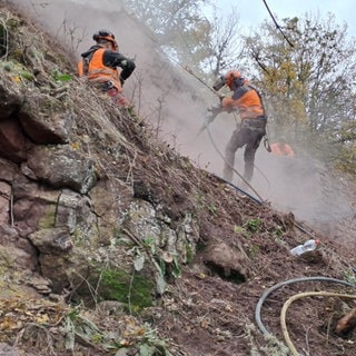 Nach dem Erdrutsch an der Bahnstrecke in Schloßböckelheim sichern Bauarbeiter den Hang.