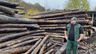  Holzhändler Reths steht vor einem Stapel von Eichen- und Buchenstämmen 