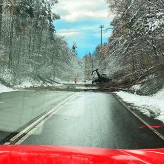 Nach kräftigem Schneefall am 27. November 2023 liegt auf einer Straße bei Wiesbaden ein Baum. Die Straße ist gesperrt. Die Feuerwehr hat das Foto aus dem Einsatzfahrzeug heraus gemacht.   