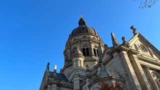 Im Turm der Christuskirche in Mainz nisten schon seit Jahren Wanderfalken.