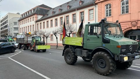 Bauernprotest in Mainz