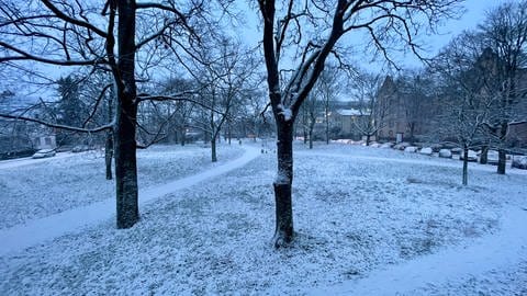 Die Mainzer Oberstadt ist weiß. Einige Zentimenter Schnee sind gefallen.