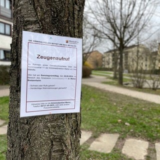 Nachdem in Mainz-Bretzenheim ein 17-Jähriger seinen Vater getötet haben soll, suchen die Ermittler Zeugen - mit Plakaten rund um den Tatort