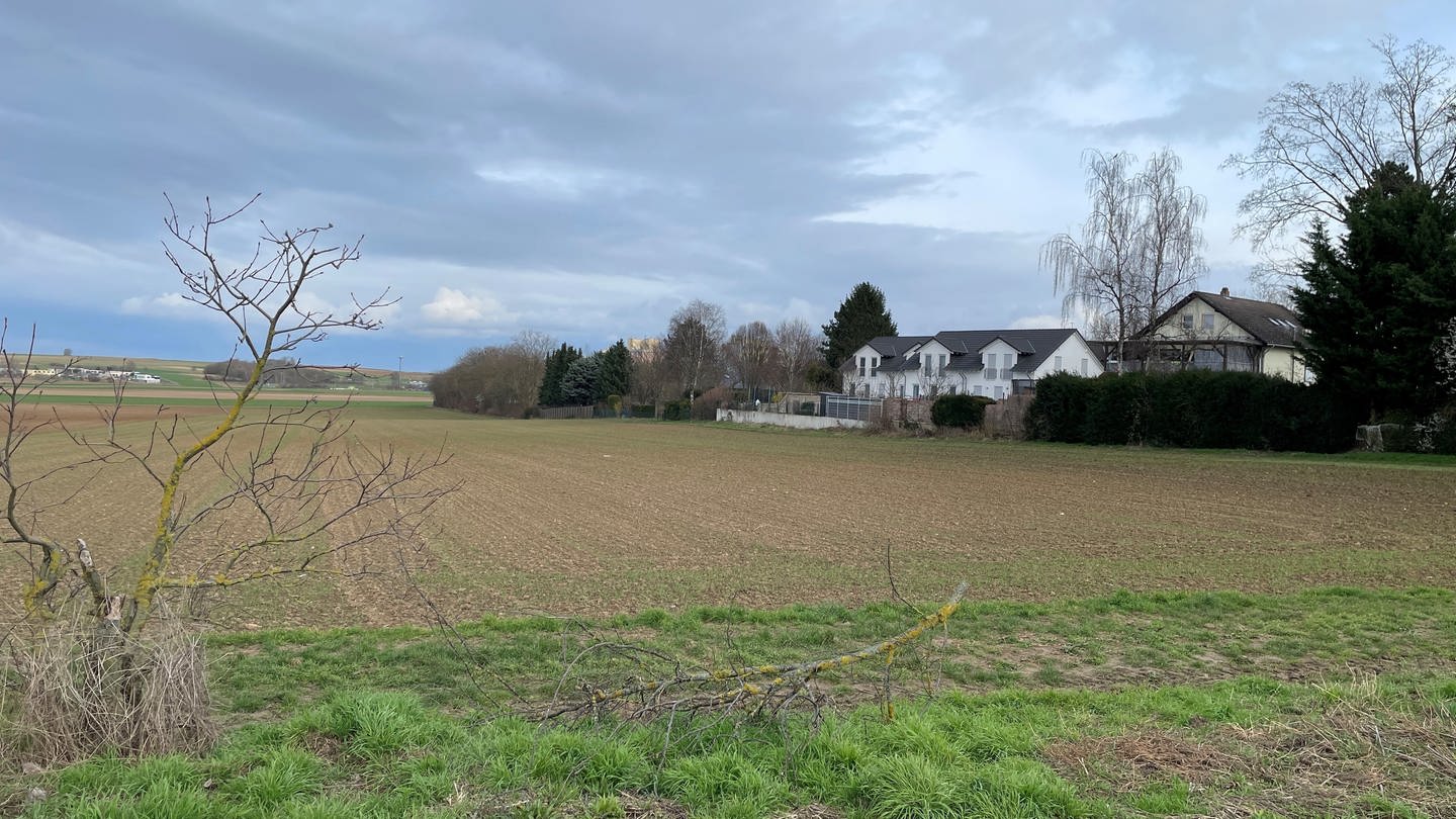 Auf den Feldern am Rand vom Mainzer Stadtteil Ebersheim soll neuer Wohnraum entstehen.