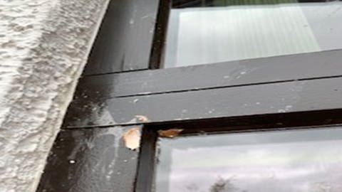 Spuren von Eierwürfen an einem Fensterrahmen: Immer wieder warfen Mitglieder einer Jugendbande Eier auf Häuser in Bodenheim.