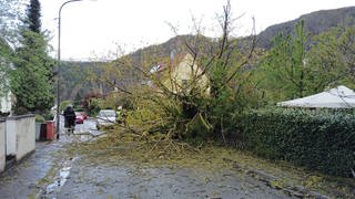 Sturmböen sorgten im Raum Bad Kreuznach für umgestürzte Bäume