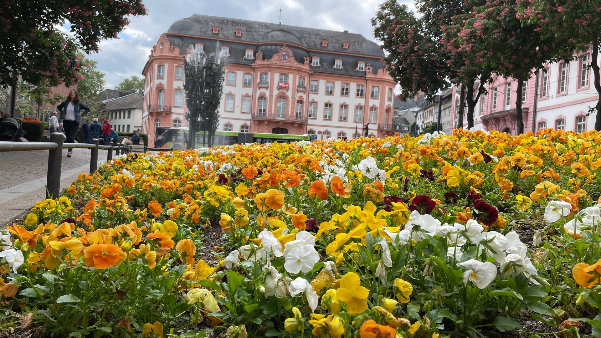 In Mainz dürfen wieder Blumenbeete 