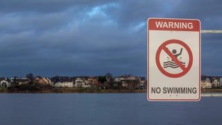 Ein Warnschild no swimming steht am Rheinufer: Polizei in Mainz: Schwimmen im Rhein ist lebensgefährlich (Foto:IMAGO).