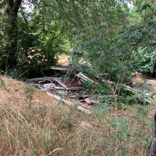 Noch liegt stark belaster Schutt im Rhein-Selz-Park in Nierstein. 