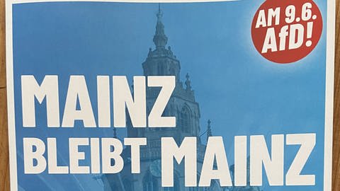 Der AfD-Flyer mit dem Mainzer Dom im Hintergrund.
