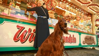 Ein Hund sitz vor einer Süßigkeitenbude auf einem Volksfest. Auf dem Jahrmarkt in Bad Kreuznach könnten Hunde bald verboten werden.