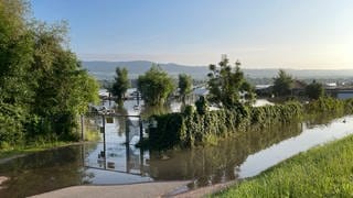 In Ingelheim sind die Auswirkungen des Hochwassers am Dienstagmorgen gut zu sehen