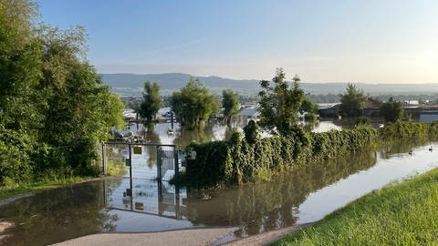"Land unter" heißt es vielerorts in Ingelheim am Rhein: