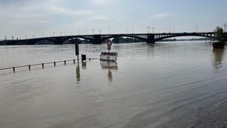 Das Rheinufer in Mainz ist überflutet