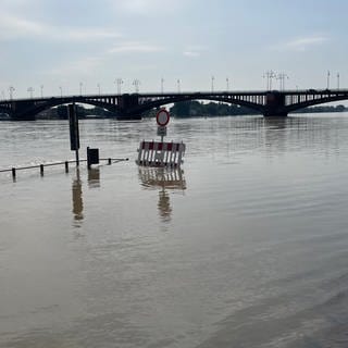 Das Rheinufer in Mainz ist überflutet