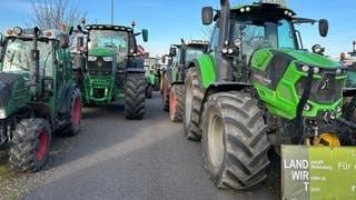Auch am Mittwoch werden wieder Hunderte Landwirte mit Traktoren in Mainz protestieren. 