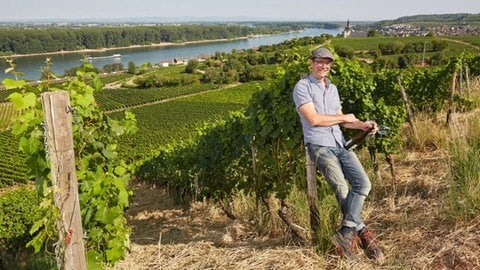 Trotz der anstrengenden Lese in diesem Jahr freut sich Winzer Steffen Müller sehr auf seine neuen Weine. 