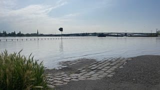 Das Wasser am Rhein geht zurück: Schiffe fahren wieder: Hochwasser in Mainz und Worms geht zurück