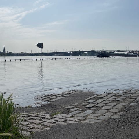 Das Wasser am Rhein geht zurück: Schiffe fahren wieder: Hochwasser in Mainz und Worms geht zurück